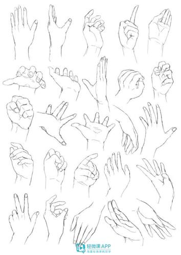 人的手怎么画?教你画手的好素材!