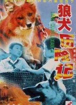 狼犬历险记-在线观看–电影-爱奇艺全网影视