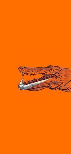 nike/壁纸/nike sb/潮牌