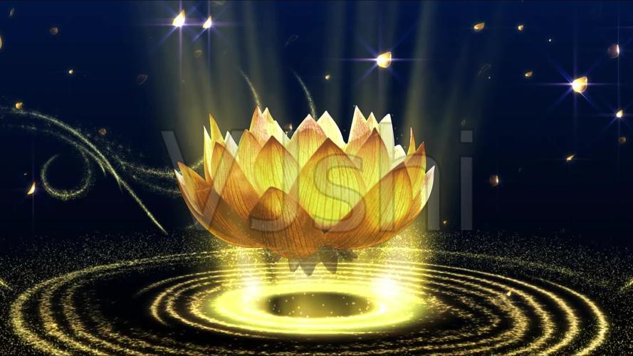 金色粒子光效光线荷花莲花佛教唯美