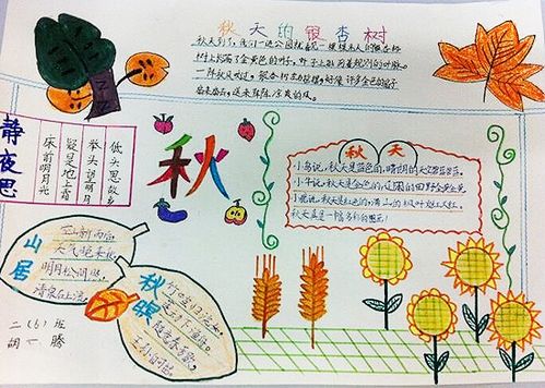 关于秋天的手抄报_秋天的银杏树