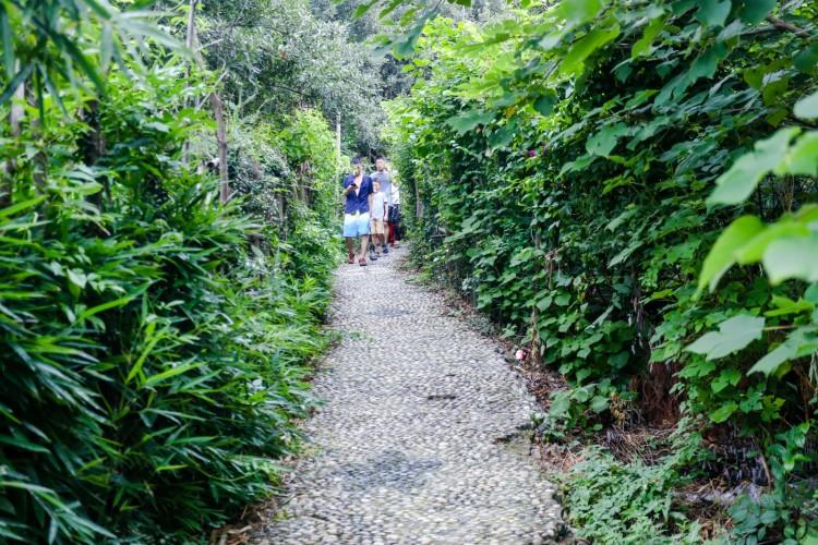 【树山验客】苏州树山,采摘翠冠梨,品味农家菜  树山生态村 从云泉寺