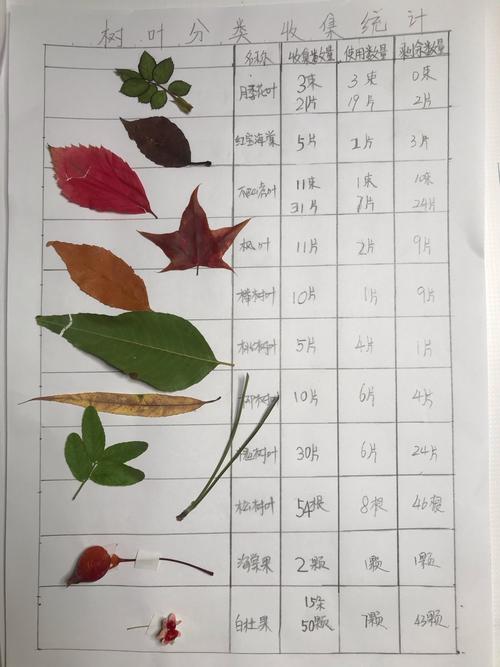 这是我们的统计表