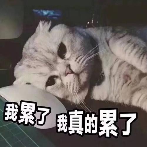 多阵雨天气,心好累-搞笑频道-手机搜狐