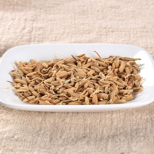 寻百草 中草药谷芽 稻芽 生稻芽 生谷芽 四川谷芽 炒谷芽500克