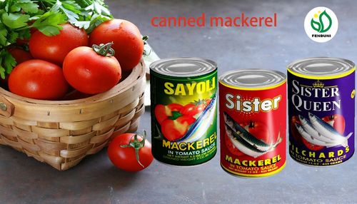 canned mackerel fish in tomato sauce with low price