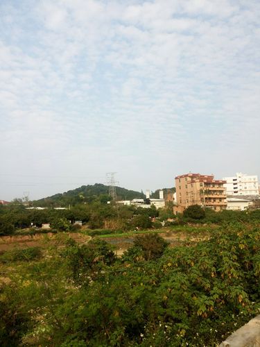 福建省泉州市石狮市狮城大道靠近灵秀镇仕林村卫生所天气预报