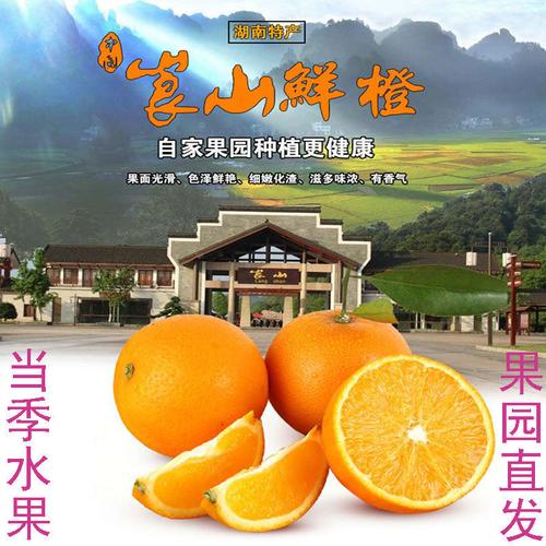 湖南新宁崀山脐橙非赣南脐橙甜橙子新鲜水果510斤当应季批发薄皮