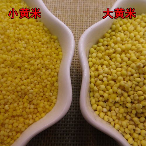 原料新鲜农家小米粽子年糕糜子黄米