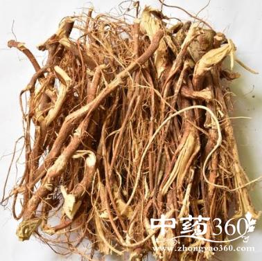 五指毛桃根有哪些功效五指毛桃根治肺结核咳嗽