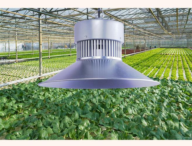 源头厂家植物生长灯全光谱led室内大棚补光灯50w100w育苗补光