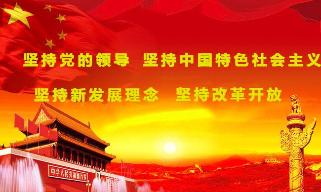 坚持党的领导,坚持中国特色社会主义,坚持新发展理念,坚持改革开放