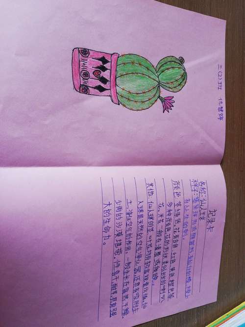 三二班的植物记录卡