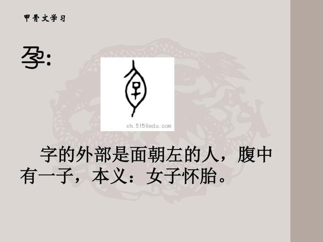 甲骨文学习 孕: 字的外部是面朝左的人,腹中 有一子,本义:女子怀胎.