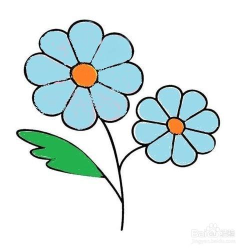 简笔花朵的画法