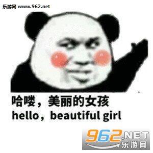 哈喽美丽的女孩表情包