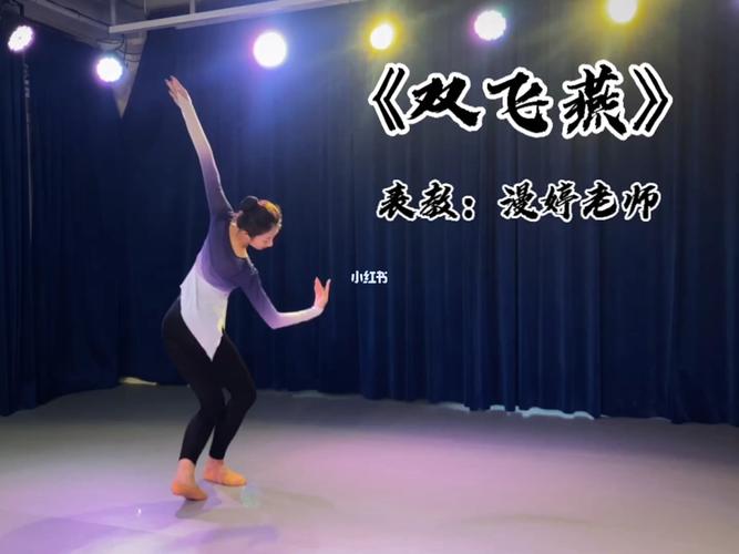 古典舞《双飞燕》_双飞燕怎么样_古典舞_舞蹈_兰艺舞蹈工作室攻略