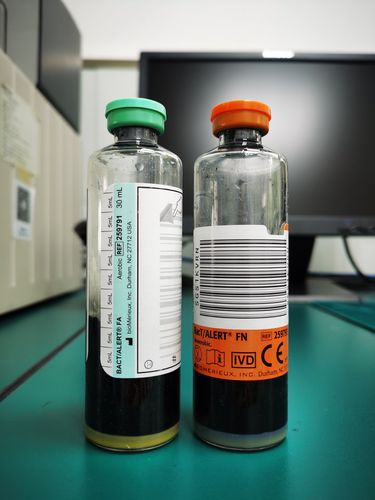 检验科血培养检出马耳他布鲁菌感染一例