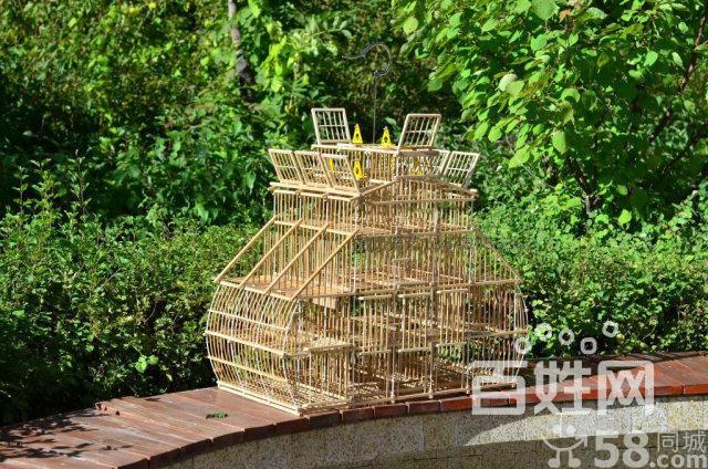 滚笼/拍笼/鸟笼/功能笼