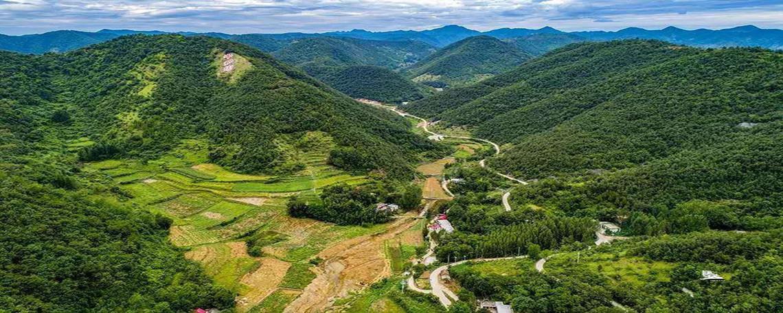 芈月山在哪里呢?位于芈氏发源地,是一处赏银杏叶的好去处