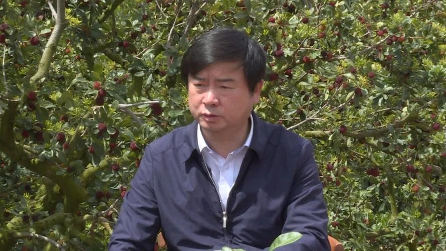 五一云上杨梅节石屏县委书记县长为家乡特产代言