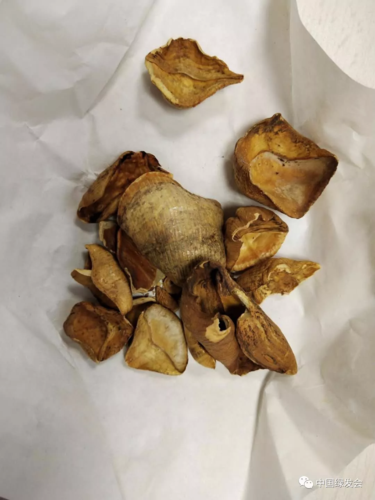 该药品名单的中药饮片部分中明确规定:穿山甲(醋山甲,炮山甲)中药饮片