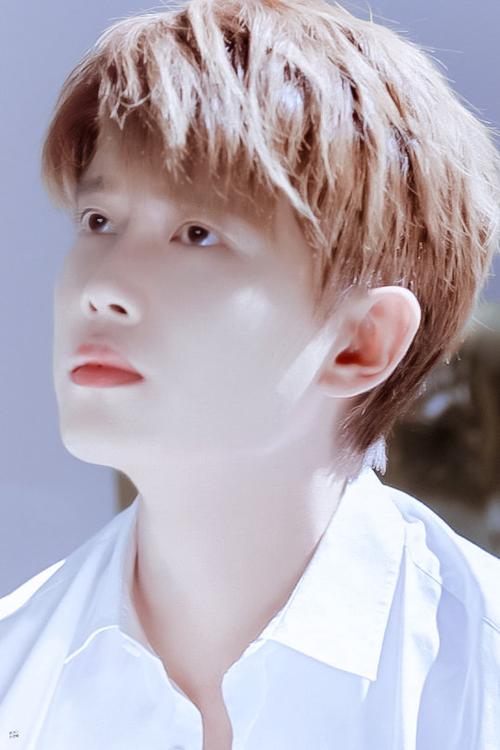 白衣少年任嘉伦 - 堆糖,美图壁纸兴趣社区