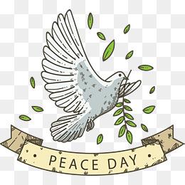 和平世界鸽子手抄报 关于和平的手抄报