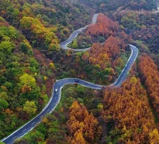 秦岭这5条老公路,承包了最斑斓的深山秋色,关键人少不堵车!