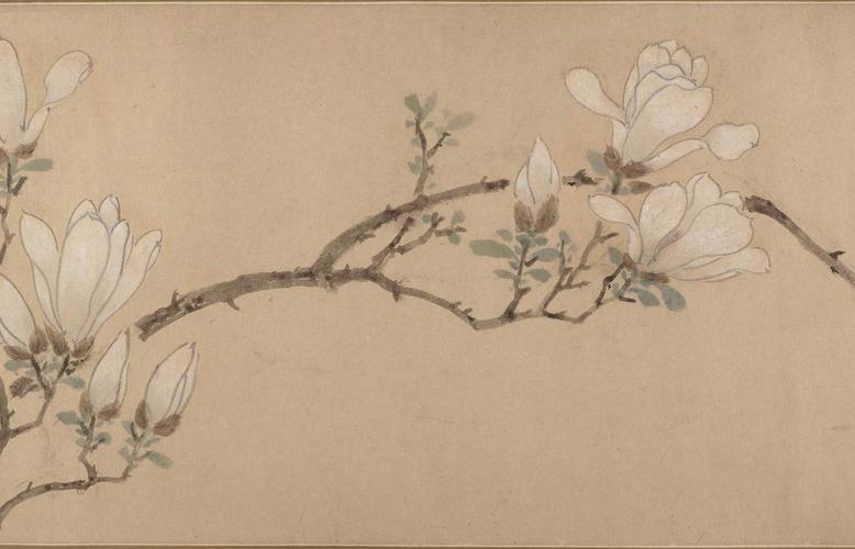文徵明《白玉兰图卷》图赏-名人字画网