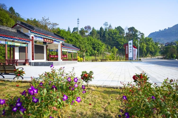万盛丛林镇绿水村