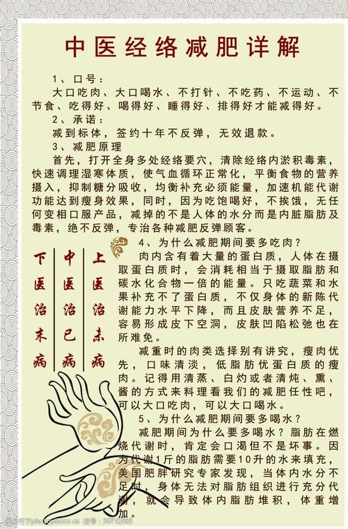 中医经络减肥详解