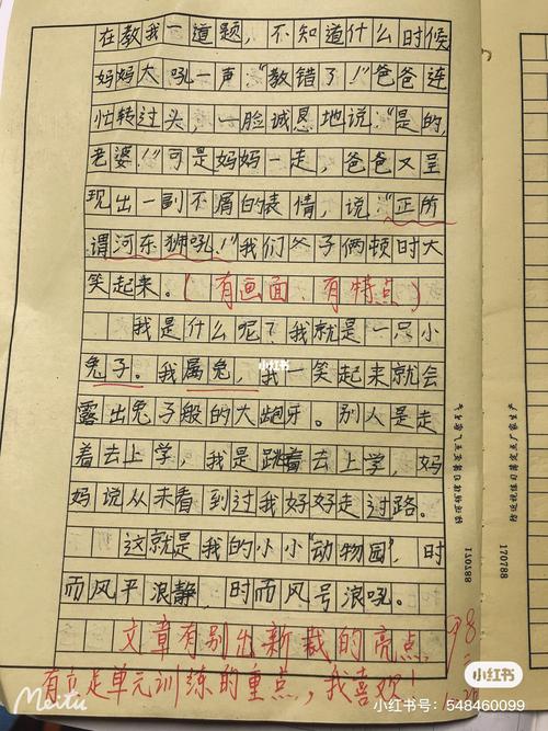 四年级作文:小小动物园_动物园_教育_小学教育