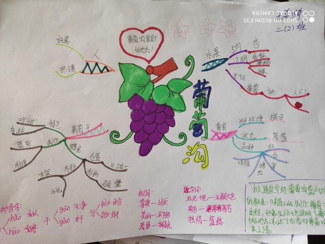 《葡萄沟》思维导图