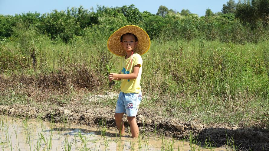 当一天的小农民,感觉真的很棒!