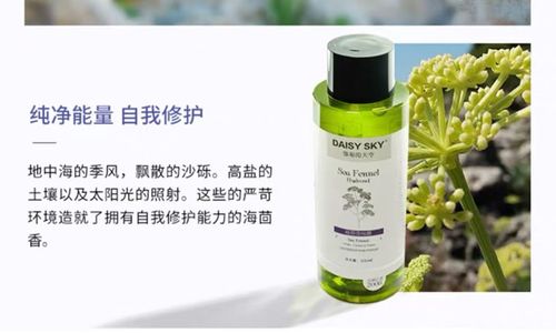 daisysky海茴香纯露