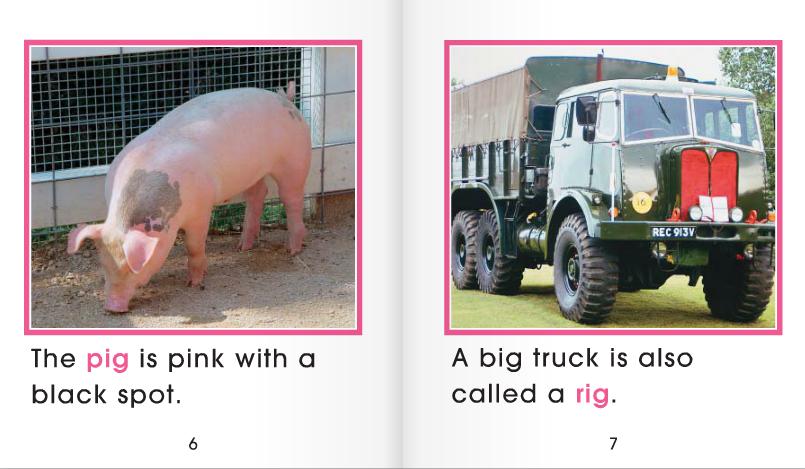 ig as in pig【英语单词家族】