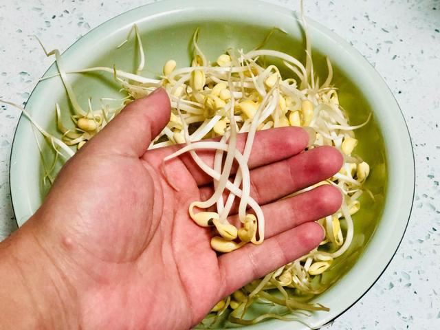 做黄豆芽炒肉时多加一个小步骤豆芽没腥味入口爽脆越嚼越香
