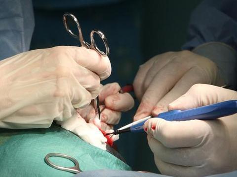 孕妇不忍打掉的"海豹胎",5年后,孩子长这般模样