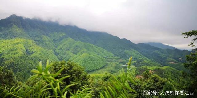 上犹县脱贫故事之黄竹头村好日子刚开始!