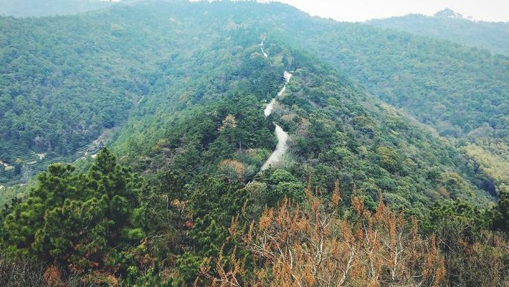 七子山大家印象:七子山,位于苏州市西南郊,主峰海拔294.