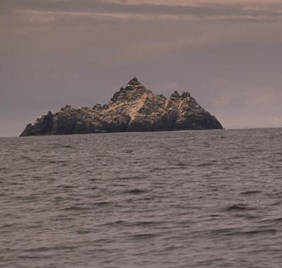 大海中的孤岛,修士们竟然能在这里种菜盖房?