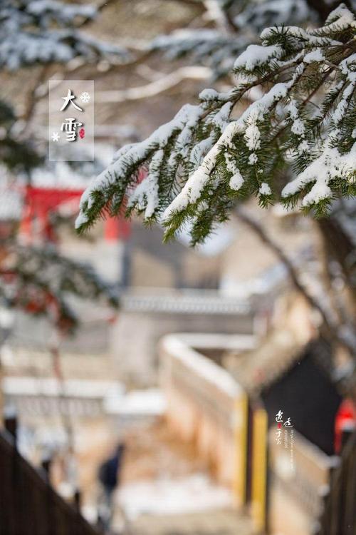 《二十四节气——大雪》 - 美篇