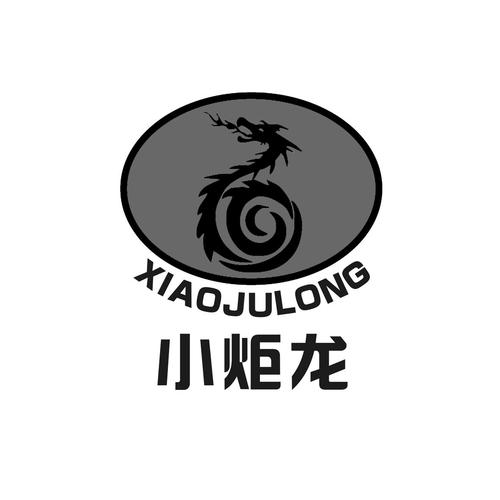 宁夏炬龙节能环保锅炉有限公司