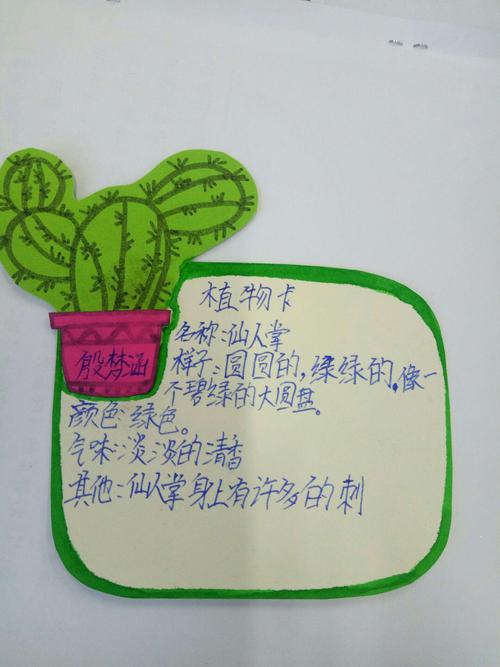 三年级二班孩子们做的植物记录卡