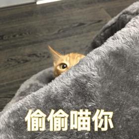 偷偷喵你 - 一波喵星人表情包_猫表情