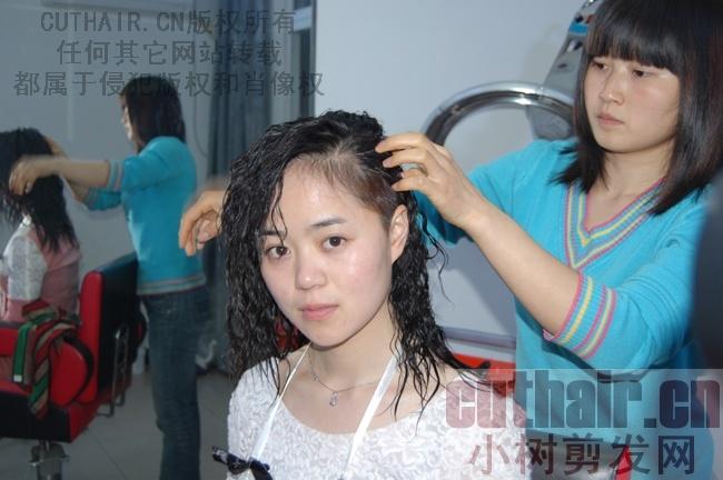 小树剪发网_舞吧hair welcome to the 58hair welcome