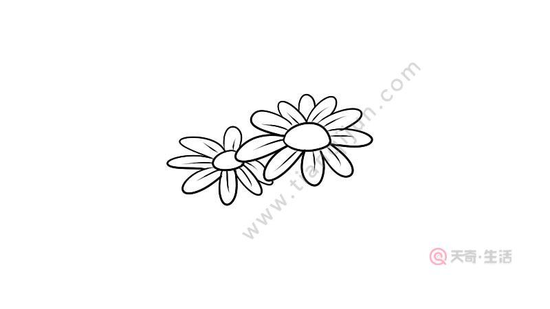 菊花怎么画简单又漂亮