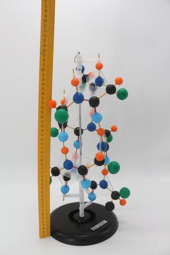 蛋白质二级结构模型中小学教学仪器生物模型