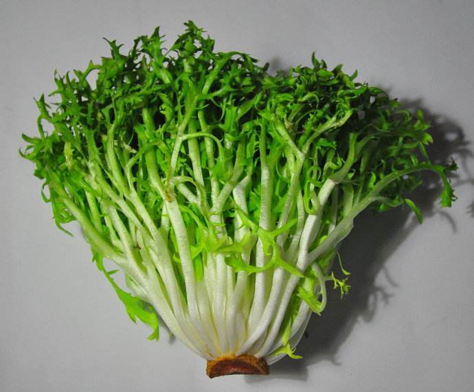 苦苣菜有什么功效 苦苣菜这样凉拌最美味